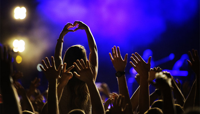 网络综艺,娱乐化,正能量,创新