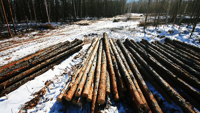 justify,text-align,text-indent,耕地总量,退耕地,style,屏风,毕