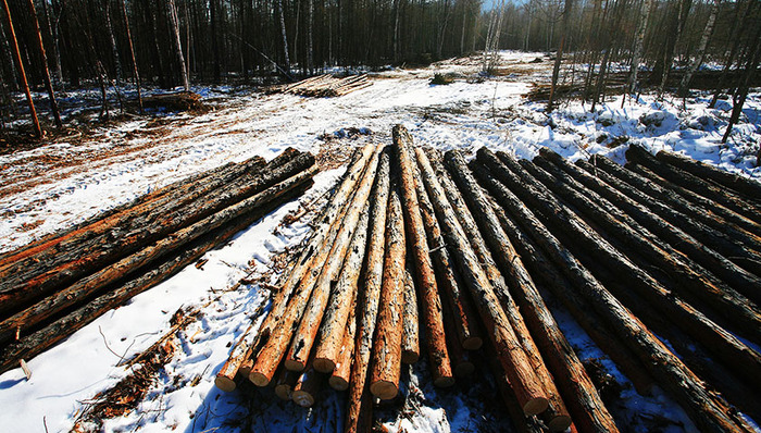 justify,text-align,text-indent,耕地总量,退耕地,style,屏风,毕