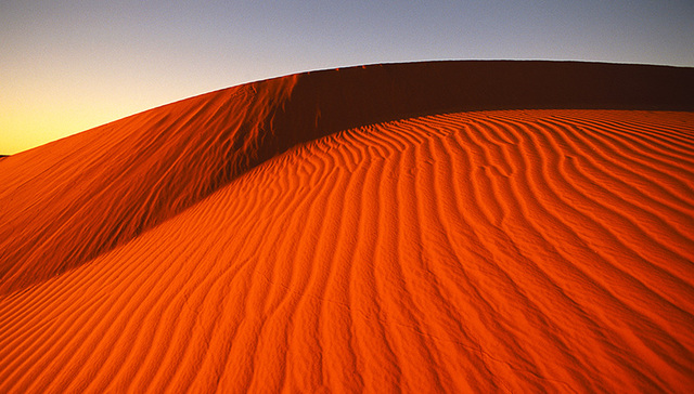 微视频｜中非合作发展新时代