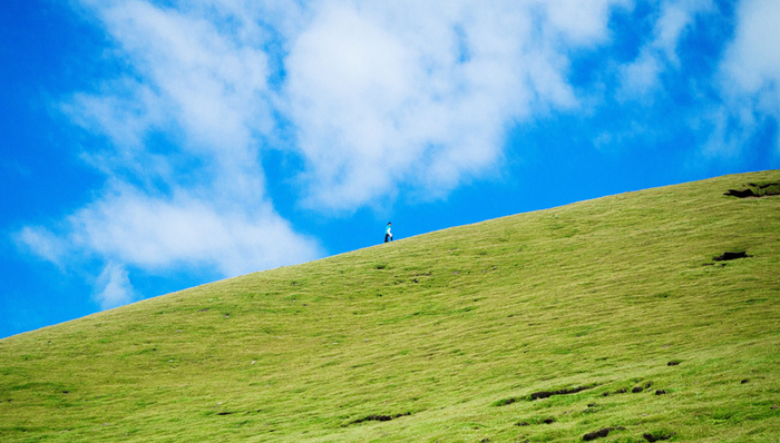 白皮书,青藏高原,生态文明