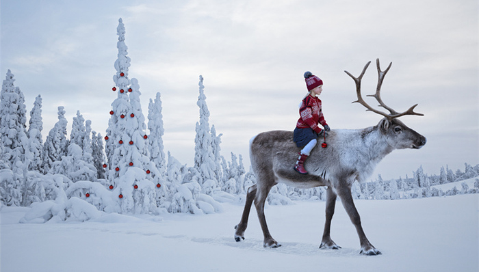 挪威,海外生活规划