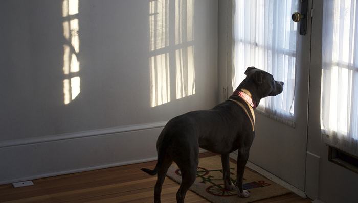 留学,学术研究,留学生