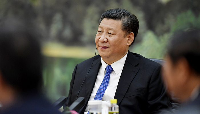 习近平,金砖,合作共赢,国家领导人,国际关系准则,合作精神,联合国宪章,伙伴关系,互鉴,恐怖主义