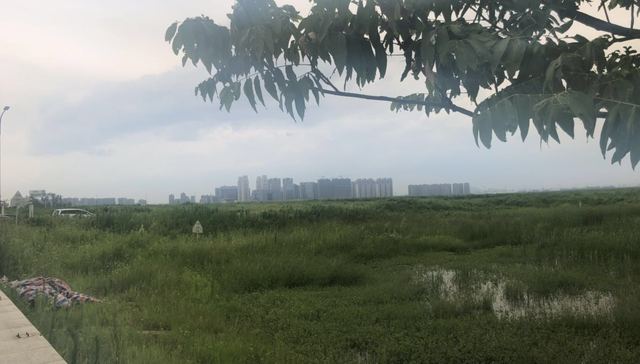 杭州亚运会,绿城,万科,华润