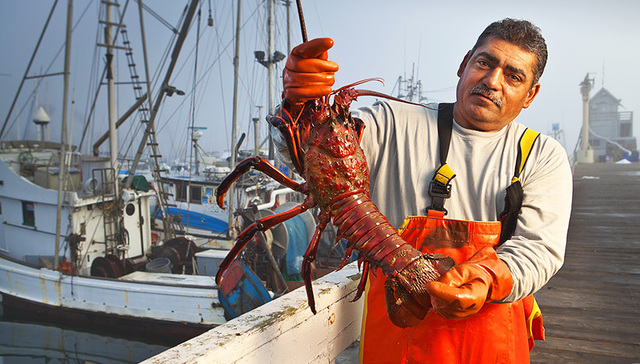 美国龙虾,经贸摩擦,经贸关系,美国贸易,中美,经贸往来,美国亚裔,美国大陆,亚当斯,奥本市