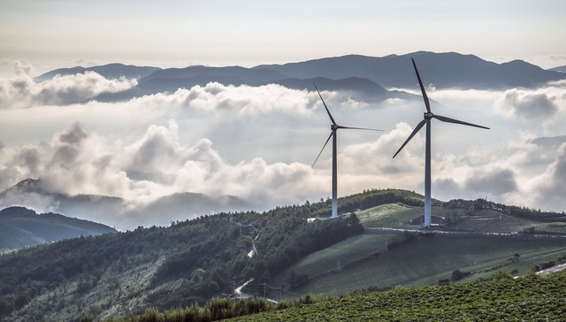 到2050年，我们能够而且必须实现全球碳中和