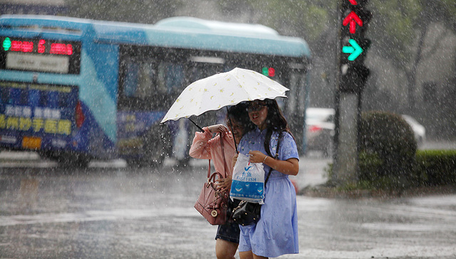 安比,台风强度,凤凰,1949年,复活,山神,热带低压,热带气旋,大暴雨,防汛办