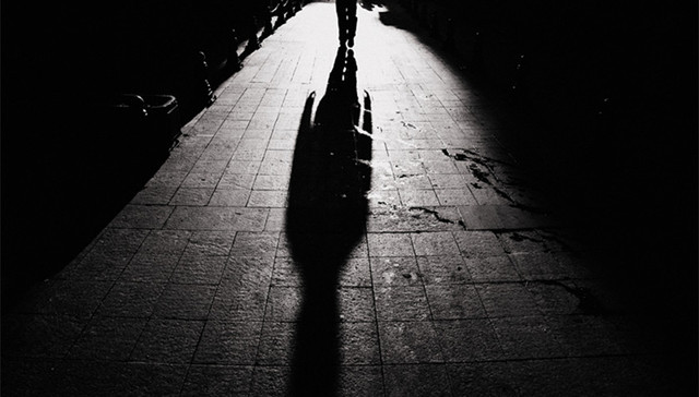 哈尔滨,交警,游轮,台风,南京大学支教团,宅基地纠纷,宠物狗,公务车,鑫圆共享