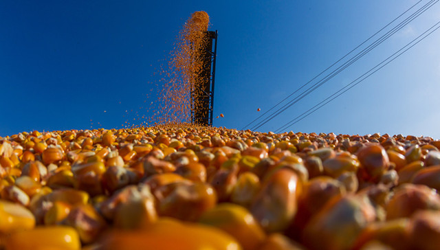 粮库,,粮食储备,国办发文