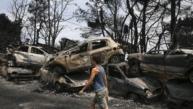 希腊,雅典,森林火灾,死亡,尸体,围抱,纵火