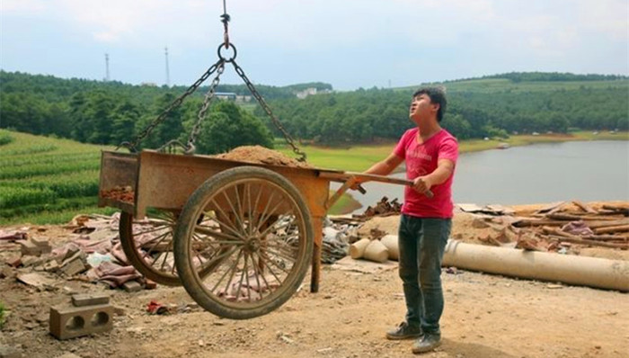 北大录取通知书,食品安全公益诉讼,租房补贴,星海湾跨海大桥,大熊猫,金钱豹