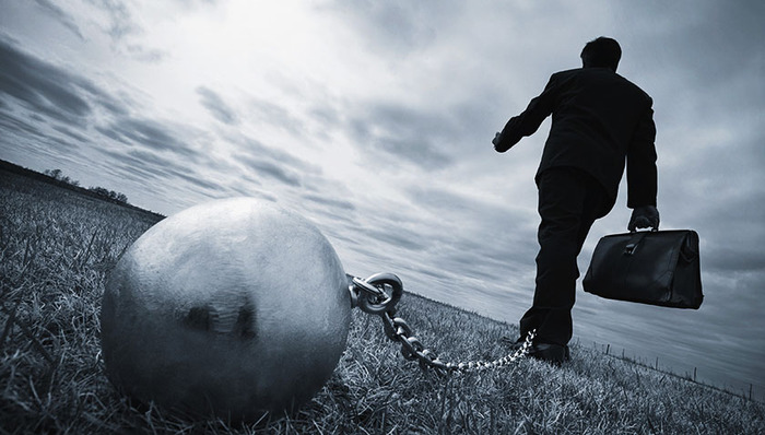 农牧,雏鹰,公司控股股东,公司借款,公司股份,仔猪价格,主业,aa,负面,停牌