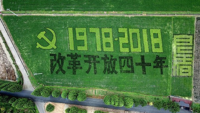 脱贫,治理,经济增长,农村,市场经济,共演,有关部门