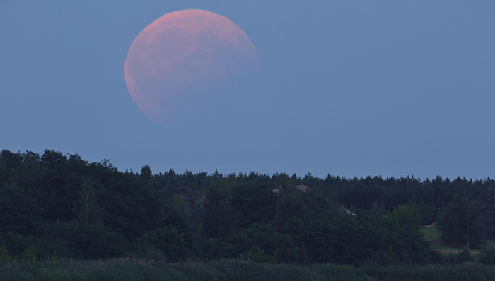 天下故事,惊奇的发现