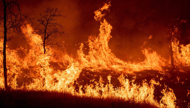 山火致5死17失踪4万人撤离 特朗普宣布加州进入紧急状态