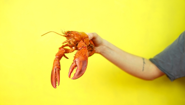 京东,冷链物流,物流价格,保税物流,龙虾,营收,供应商,顾东君,味库,小米加步枪