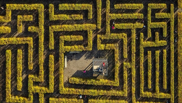 进入困惑和恐惧内部：为何迷宫如此令人着迷？