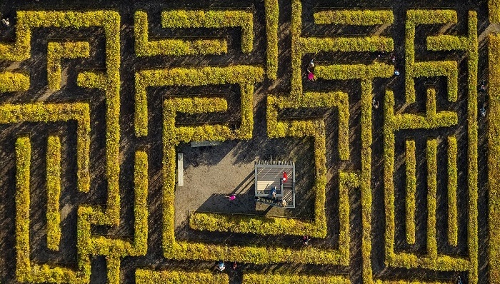 文学,心理学,空间
