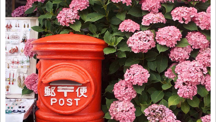 去东京能不去花店吗？不能！！！