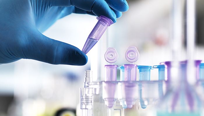 ADCs,霍奇金淋巴瘤,CFDA,Stemcentrx,单药治疗,Immunomedics,Imfi