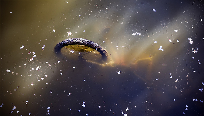 摩拜,资金池,主办券商,张鹭,死亡过程,财经,押金,悦骑,凯路,指导意见