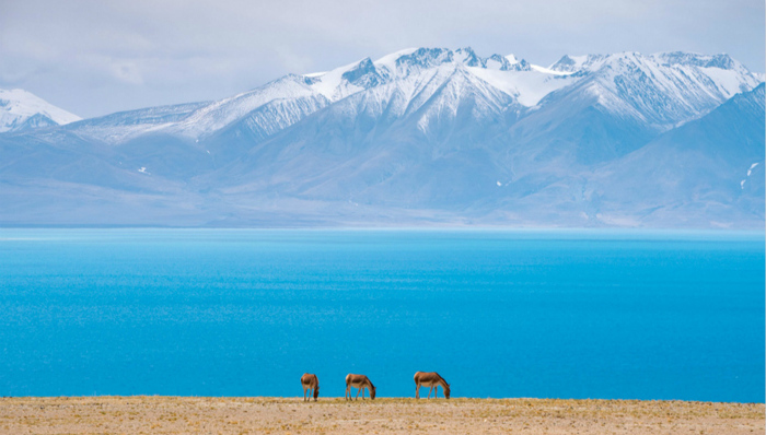 象雄文化,阿里地区,旅游发展,人文景观,西藏阿里,人文内涵,人文旅游,札达土林,西藏交通,精品旅游