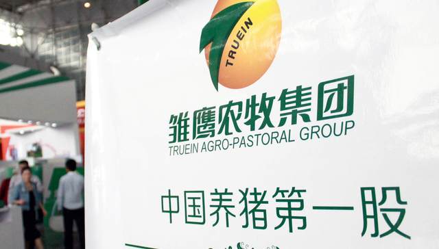 雏鹰农牧,养猪,卓创债市场,仔猪价格,生猪养殖,大户,经济观察报,司法冻结