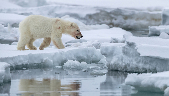 天下故事,惊奇的发现