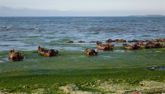 生态环境部,近海海域,水质变化