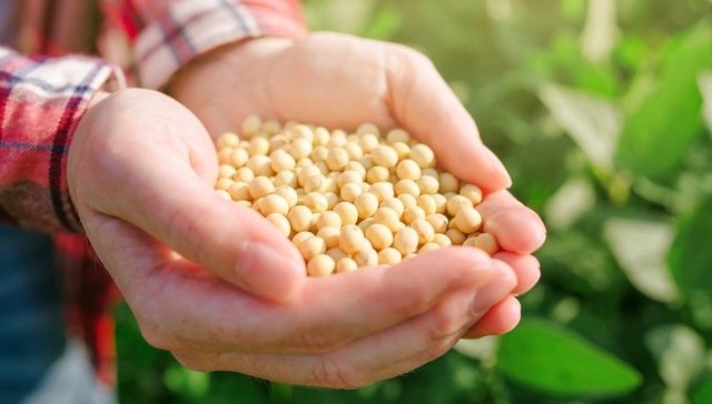 【财经数据】人民币汇率创近一周新高 大豆进口连续两个月下滑