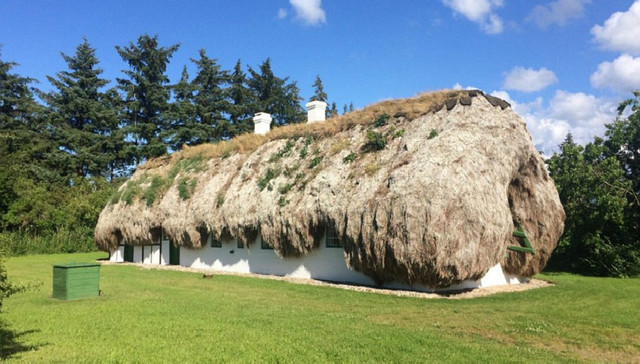 Airbnb在丹麦提供超过32吨海草屋顶的小屋 有绝佳的隔热效果