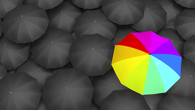 P2P，网贷，保险，信用保证保险，跑路