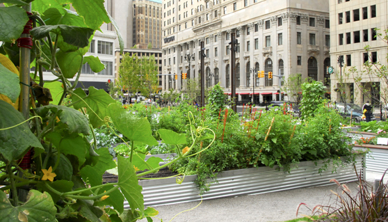 都市农业探险：农业能够拯救“废墟之城”底特律吗？