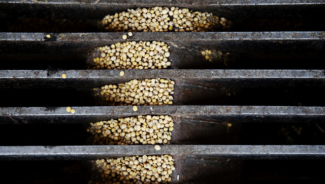 飞马峰号,美国大豆,中储粮,MarineTraffic,Eikon,进港,卸货,美国商品,买家,港口