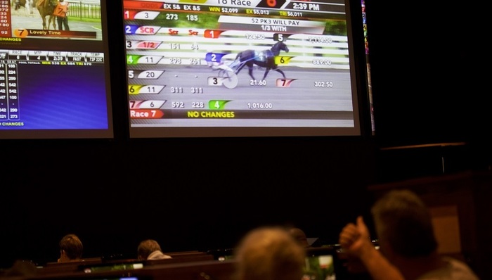 体育博彩,NBA,博彩