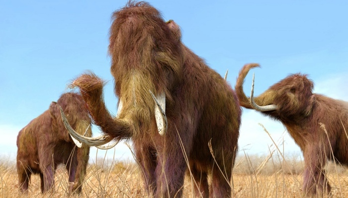 书评,科学新知,灭绝,基因