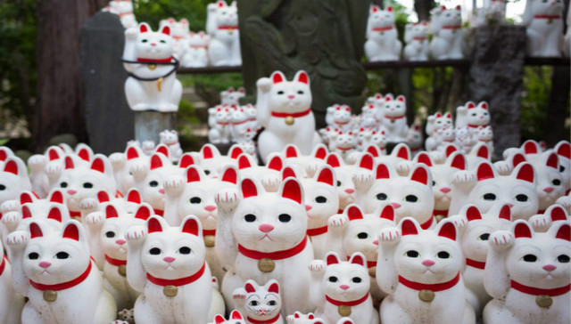 东京“幸运猫”神庙成网红，吸引大量 Instagram 用户打卡