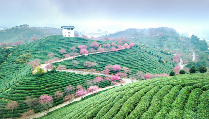 生态福建 交出绿色答卷