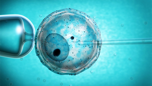试管婴儿,伦理,胚胎
