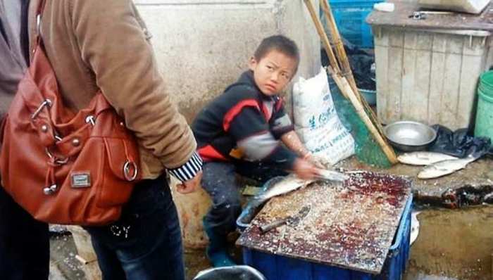 【特写】“杀鱼弟”自杀背后：没有被改变的命运