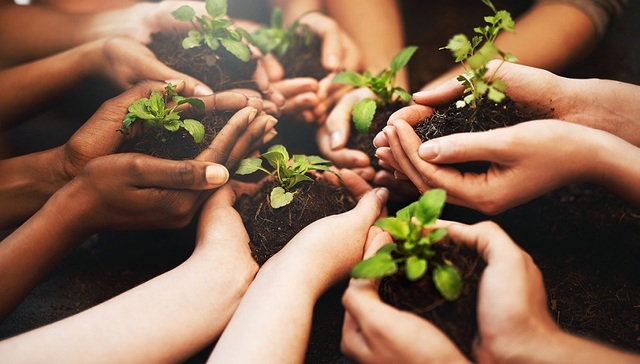 【独家】投保基金：希望长生生物事件中有关违法责任主体主动出资对中小投资者赔偿