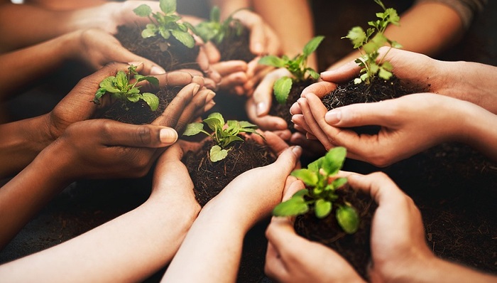 【独家】投保基金：希望长生生物事件中有关违法责任主体主动出资对中小投资者赔偿