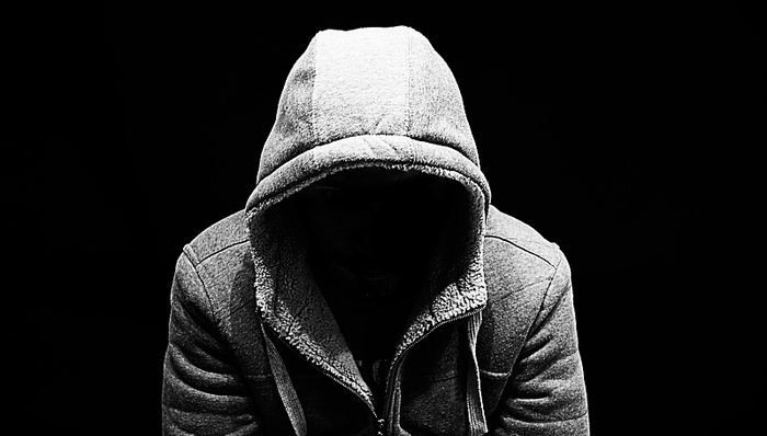 陈杰人,青树坪镇,XXX,传播主体,禁炮,服务费,黑恶势力,网络害虫,商机,公众号