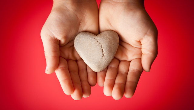 免费午餐基金审计报告遭质疑 中国社会福利基金会回应