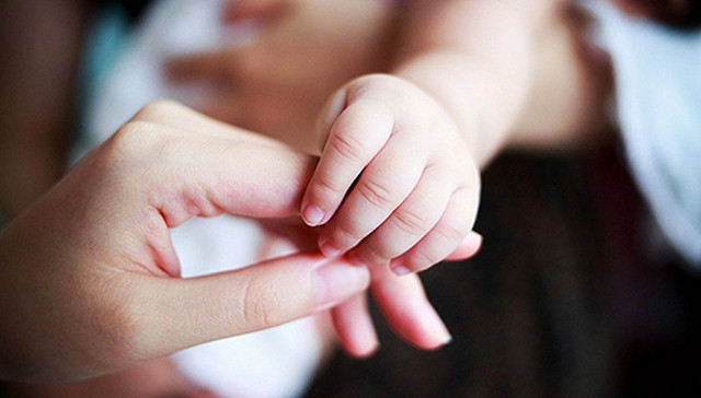 央视,生育基金,计划生育