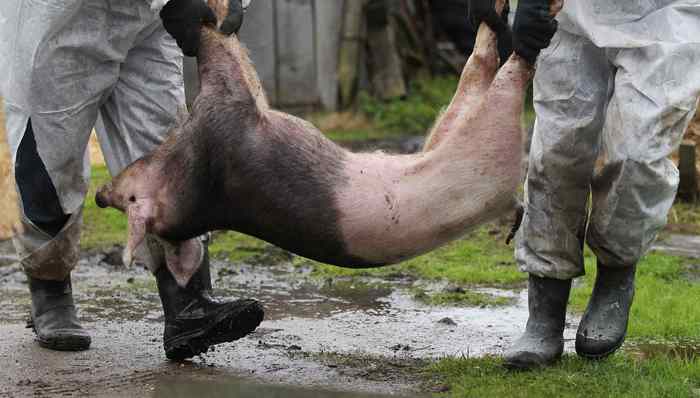 经济世界观,欧洲社会,天下故事