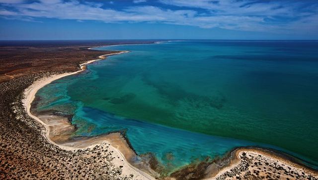 蓝藻成“难藻” 巢湖蓝藻水华为何年年治年年发？