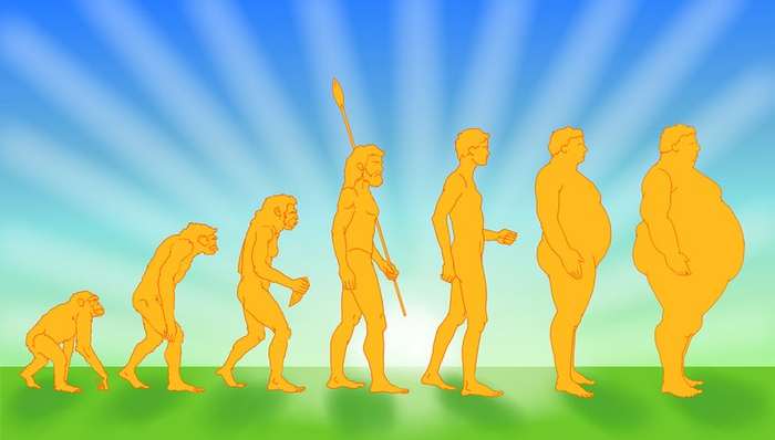 肥胖症,食品健康,健康,科学新知