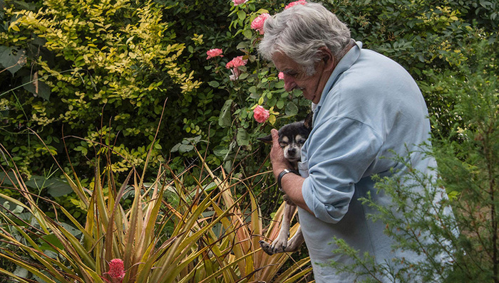 天下故事,惊奇的发现